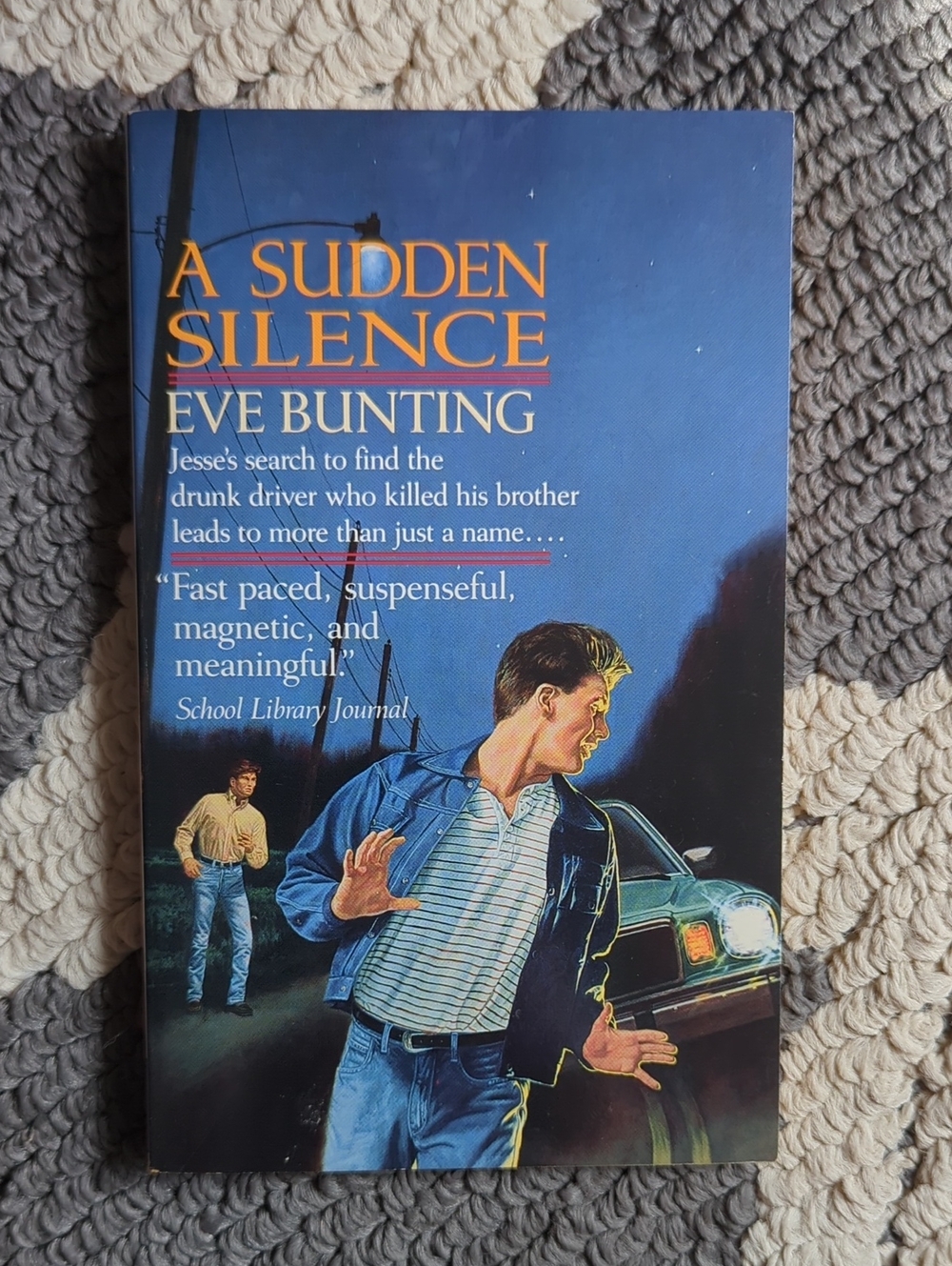 A Sudden Silence By Eve Bunting 105 Pages Will Capture The Reader Suspenseful